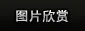 优直播NBA